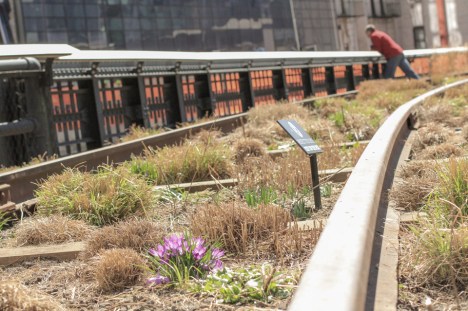 IMG_7759_7D Highline 1 sm