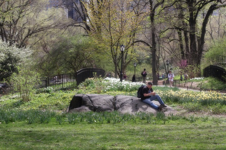 IMG_8767 7D the gardens