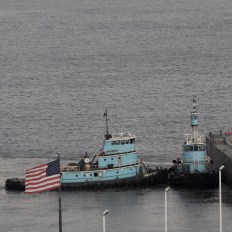 IMG_8542 7D EF70-300 sm