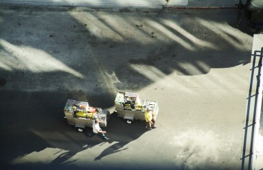 IMG_0711 7D Falel carts