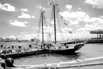 IMG_8581 2017 0601 Rebel Pioneer