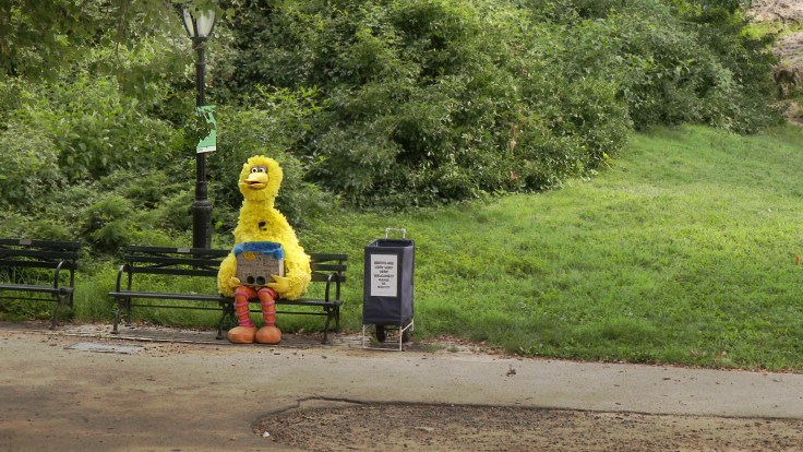 IMG_1252 7D big bird