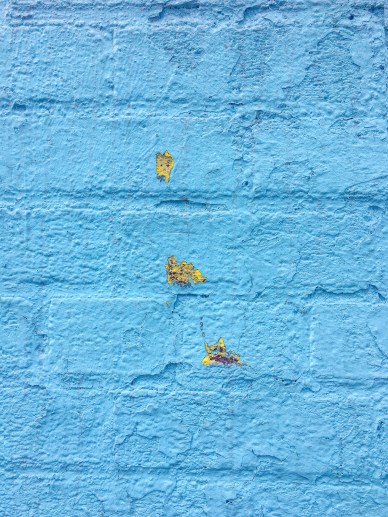 IMG_5216 Study of a Blue Wall II