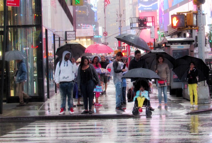 IMG_8947 sx530 Header Umbrellas