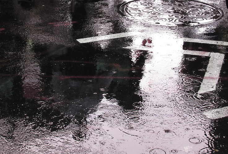 IMG_9019 sx530 more wet