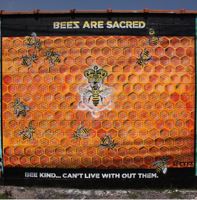 20170905 IMG_9347 CR eyez SMALLS