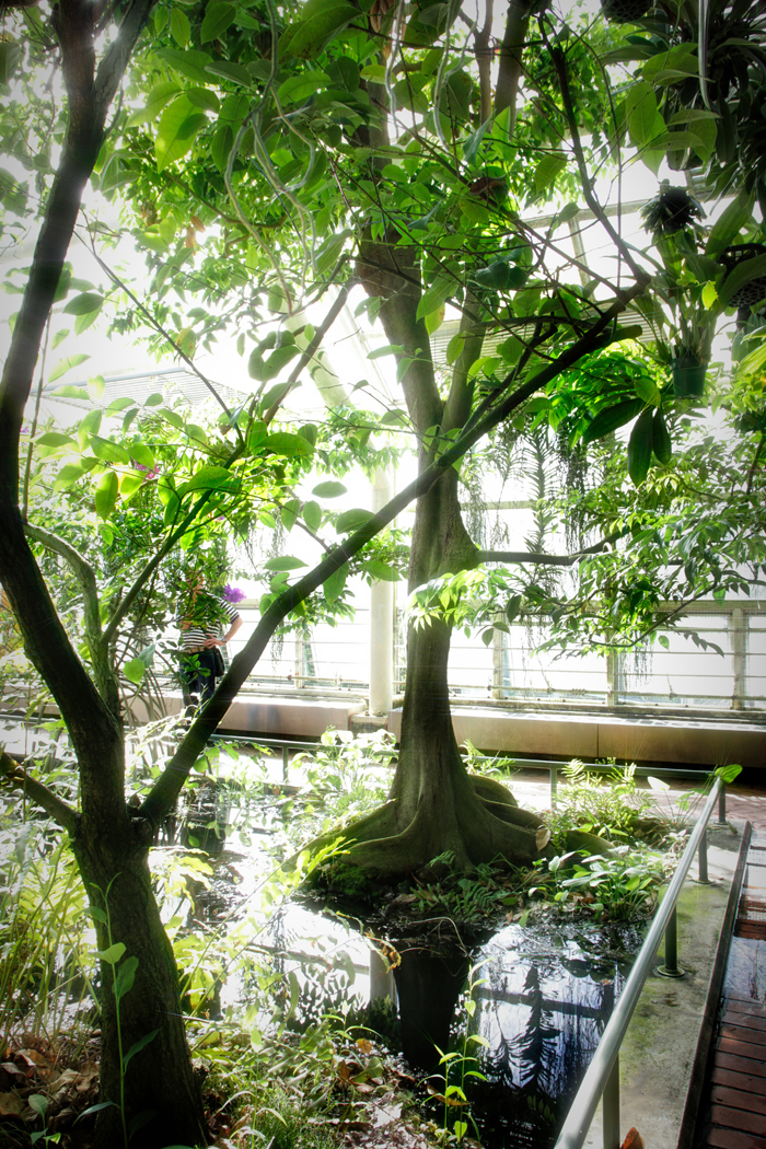 20171010 IMG_5278 7D Treee Reflections