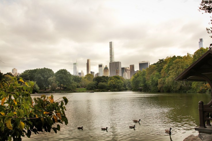 20171013 IMG_5575 7D View from Oak Bridge small