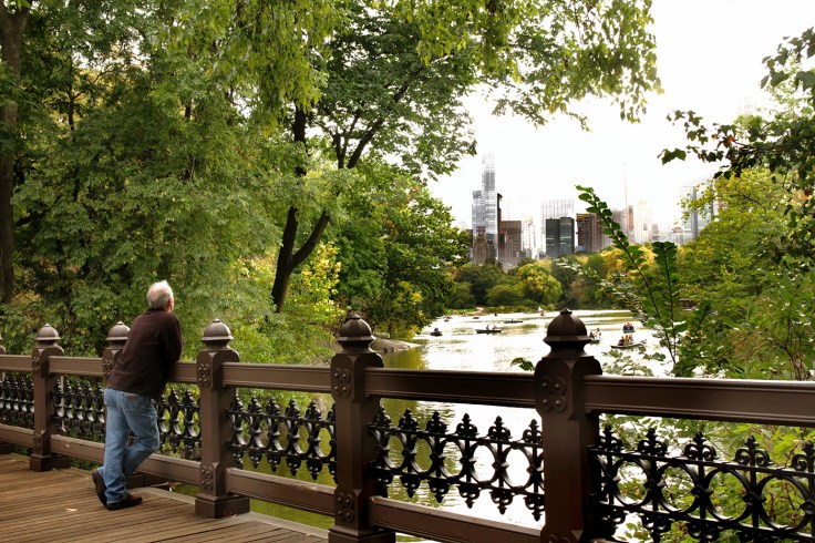 20171013 IMG_5598 7D Tip on Wooden Oak Bridge small