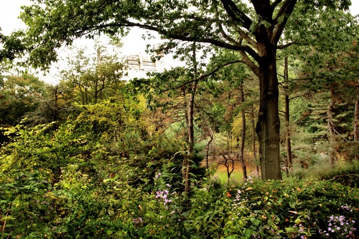 20171013 IMG_5685 7D Shakespheares Garden small