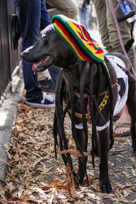 20171021 IMG_6221 7D marley small