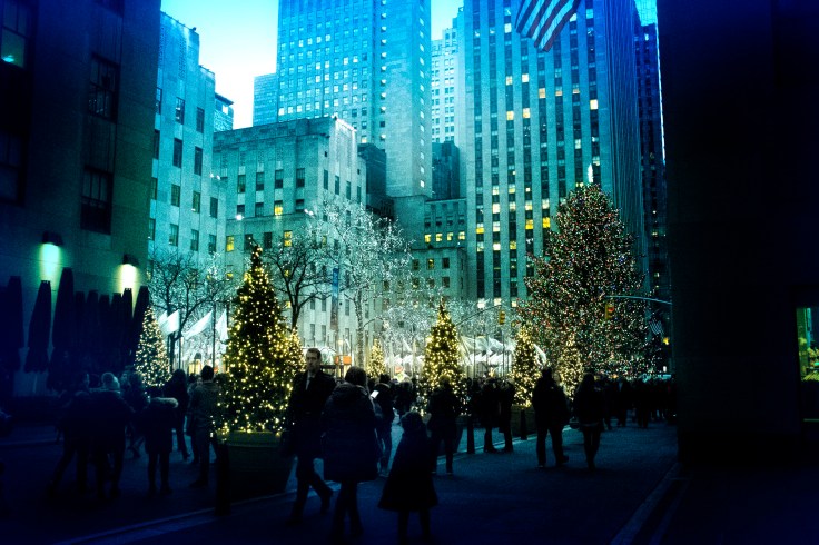 12222017 IMG_9765 7D the christmas rush