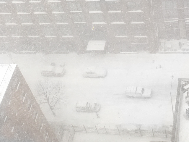 IMG_6993[1] white out