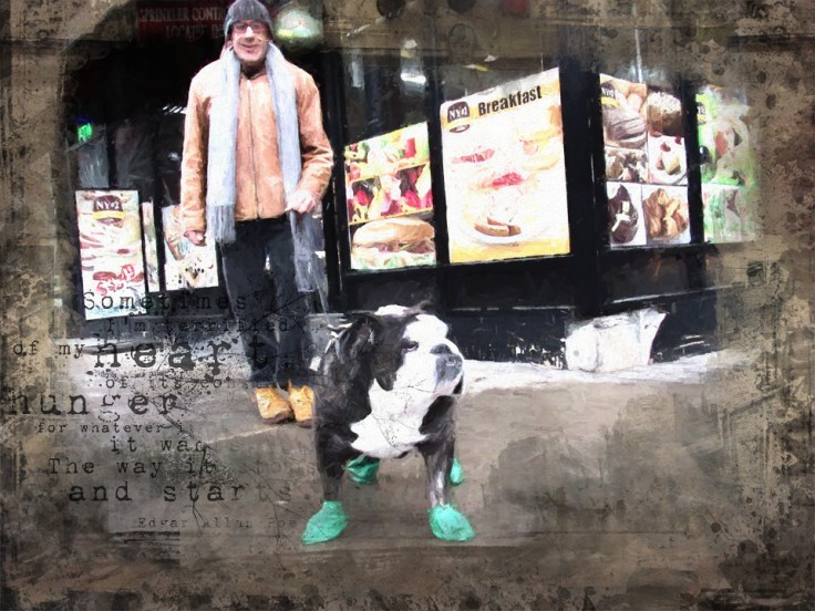 IMG_8240_SX dog wearing shoes sm