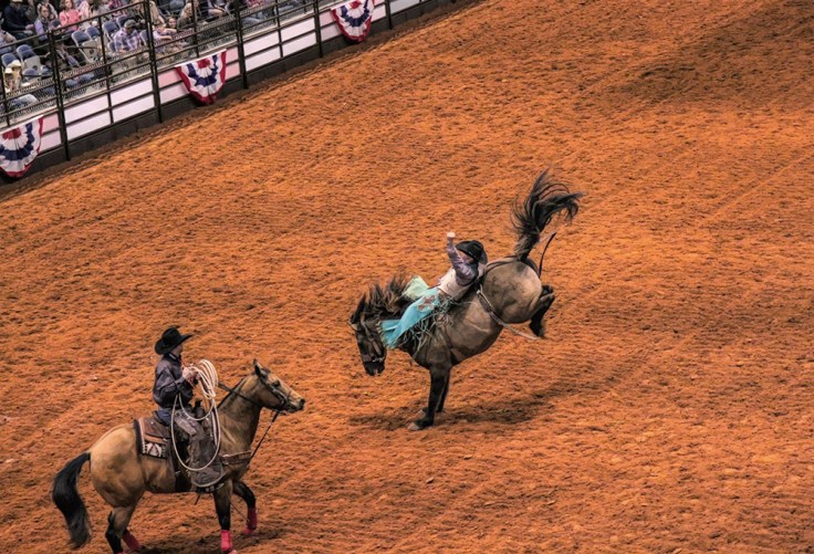 20180127 IMG_8876 7D sm