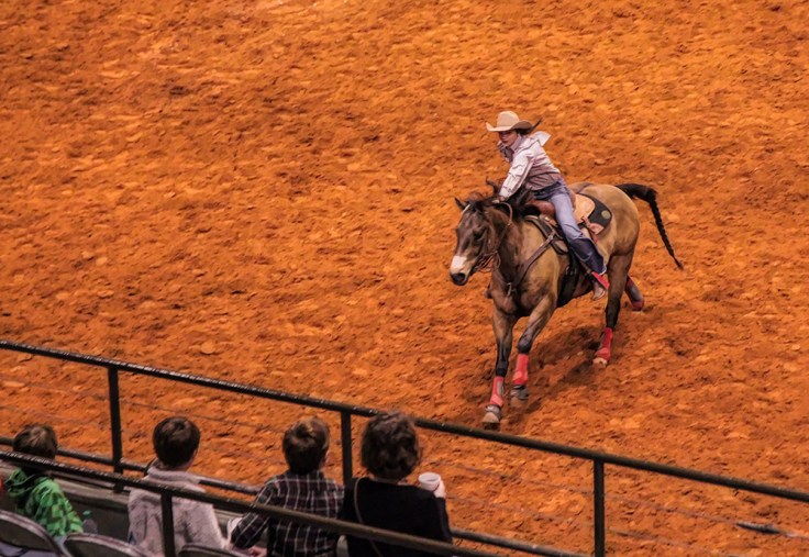 20180127 IMG_9050 7D esm