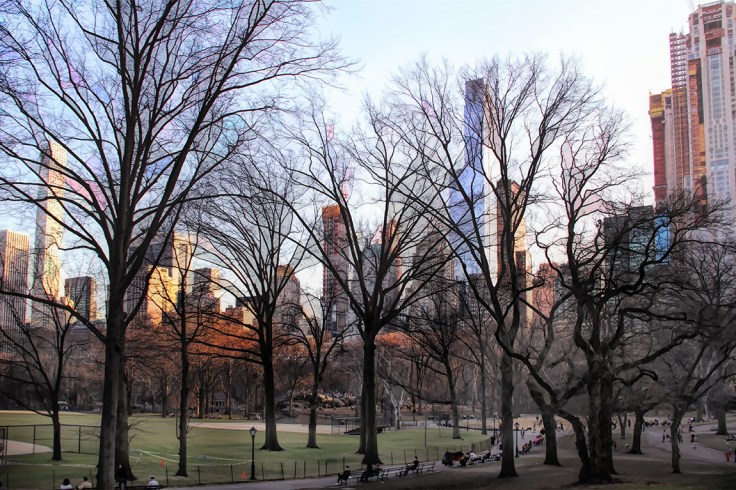 20180221 IMG_9962 7D cpsm