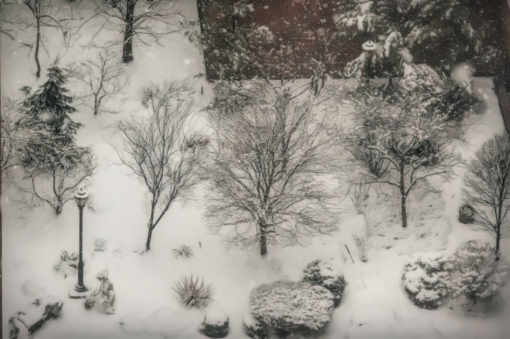 20180321 IMG_0673 7D snow in the garden sm