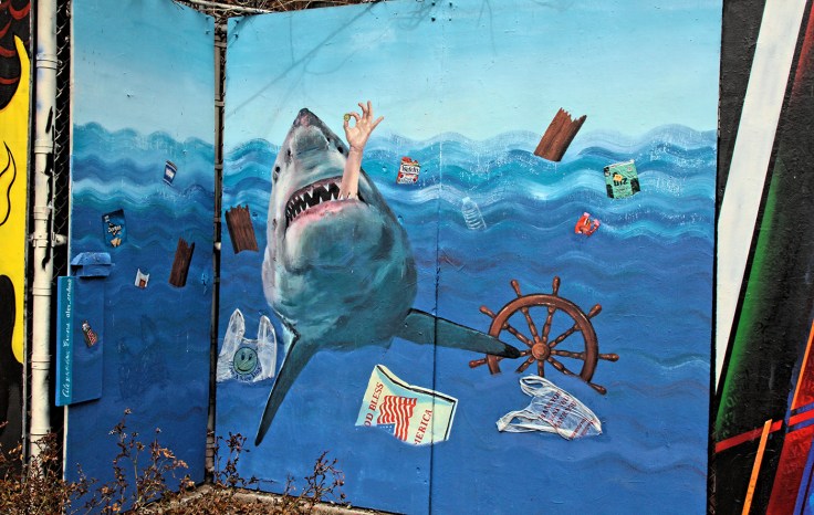 20180327 IMG_0728 7D sm sea