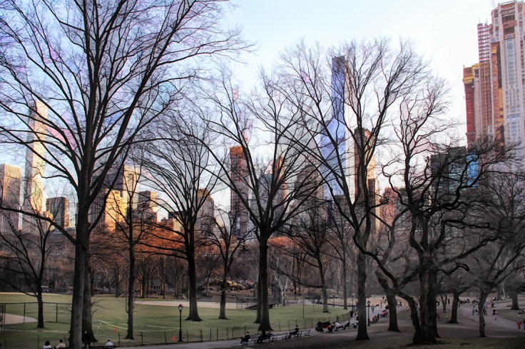 20180221 IMG_9962 7D cpsm