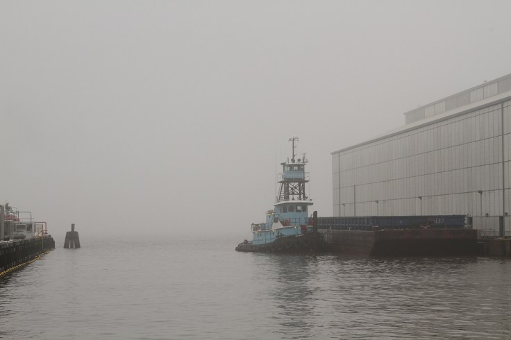 20180404 IMG_0893 7D sm