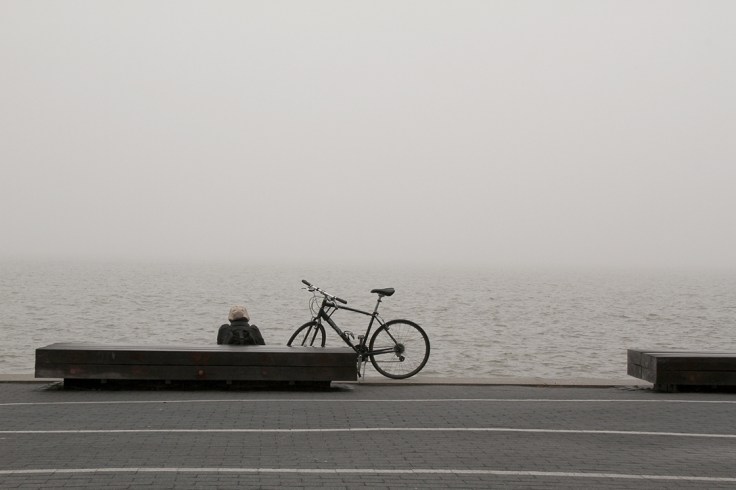 20180404 IMG_0912 7D Foggy Contemplation sm