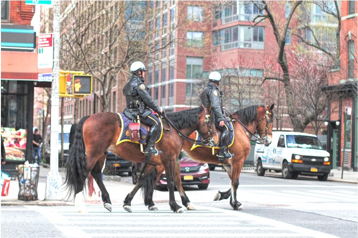 20180411 IMG_1616 7D Mounted NYPD sm