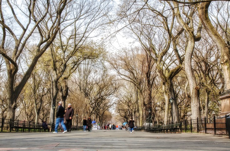 20180412 IMG_1702 7D The Mall sm