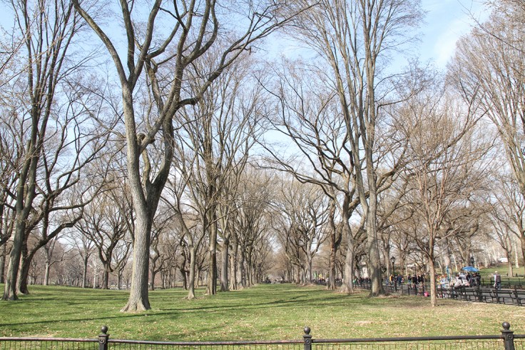 20180412 IMG_1726 7D The mall sm