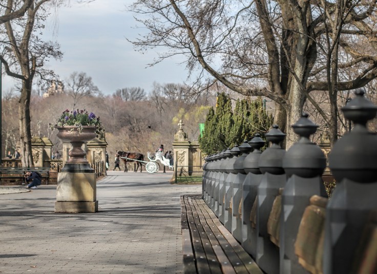 20180412 IMG_1752 7D sm