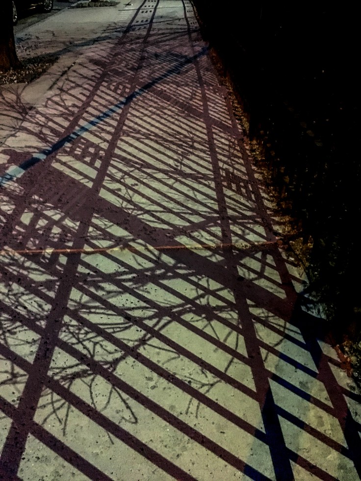 04022017 IMG_3902iPhone sm