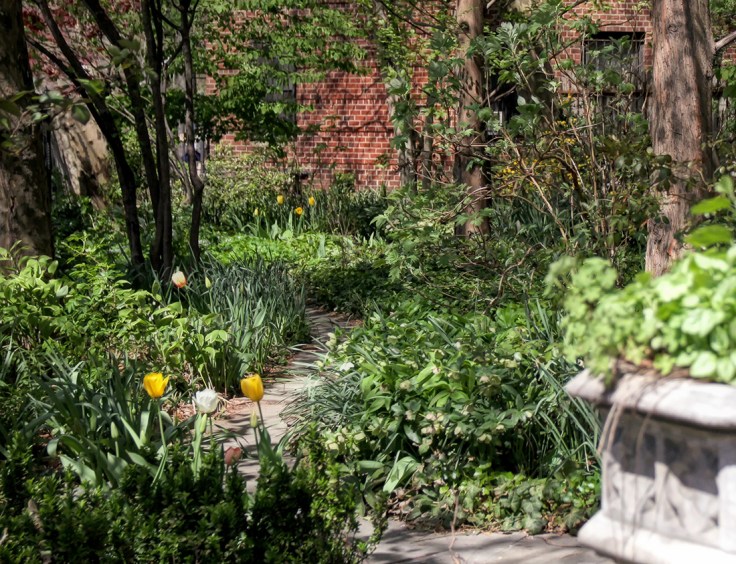 20180502 IMG_2334 7D gardens sm