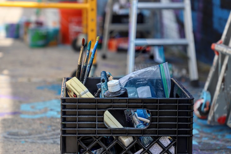 20180609 IMG_0997 6D brushes sm