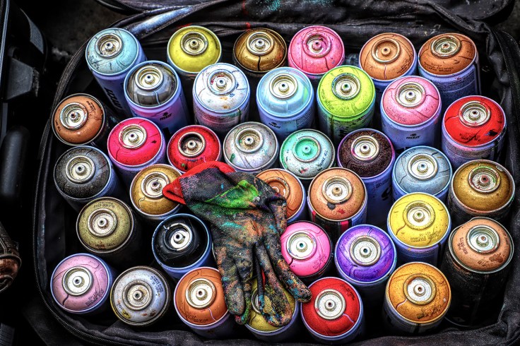 20180609 IMG_1056 6D paint sm