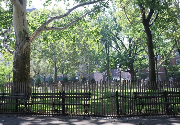 03 20180903 IMG_3825 6D shade on a hot day - wash sq pk sm