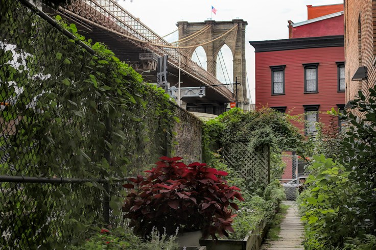 20180922 IMG_4638 7D esm