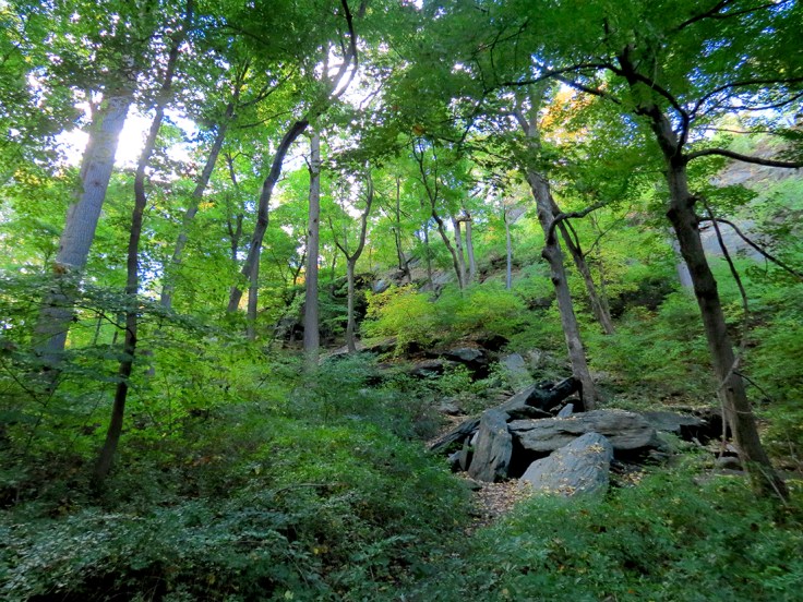 03a 10 - Inwood Hill Park - 10-23-16 - IMG_4193Asm