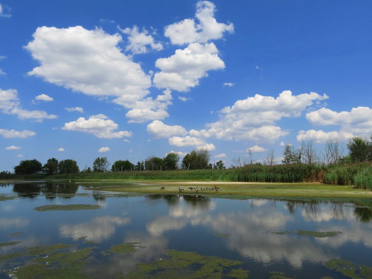 04 - JBWR IMG_6482Asm