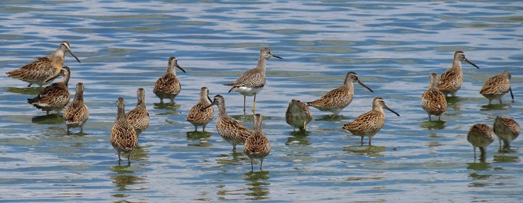 05 04 - JBWR - 08-19-16 - IMG_7557B