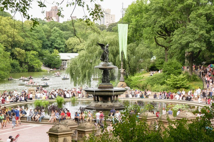 08062017 IMG_1275 7Desm