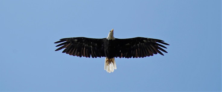 10 staten island 03 - Mount Loretto - _MG_3920 (2) sm