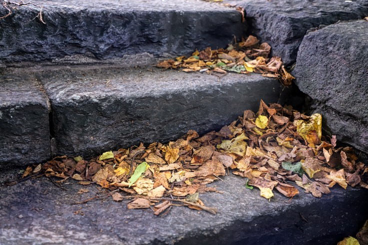 20181016 IMG_5730 7D leaves on steps sm