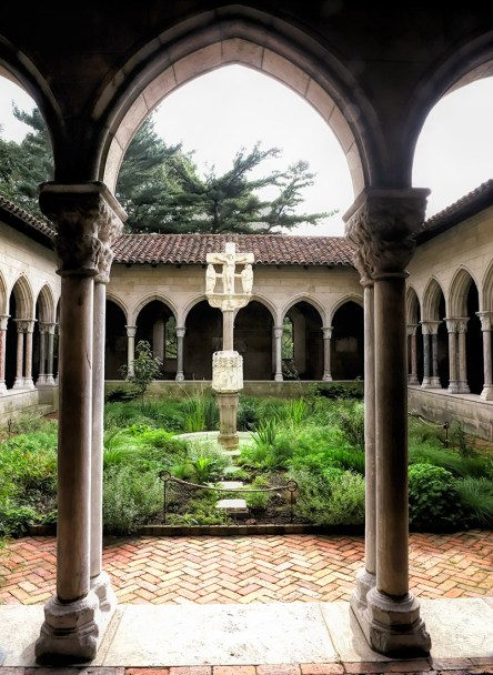 20181016 IMG_5803 7D esm